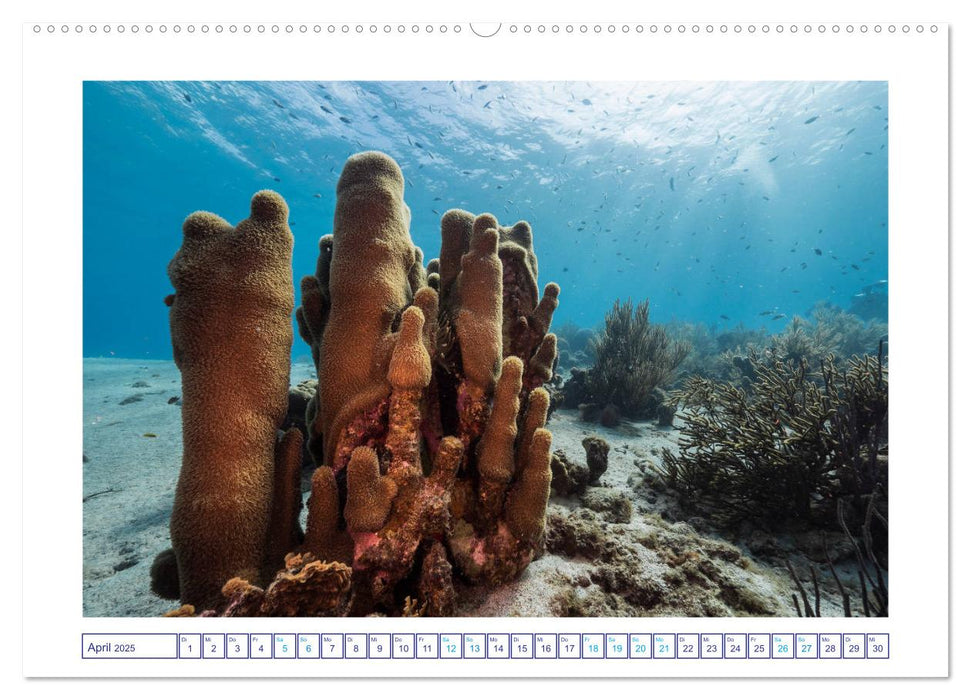 Neptun's Königreich (CALVENDO Premium Wandkalender 2025)