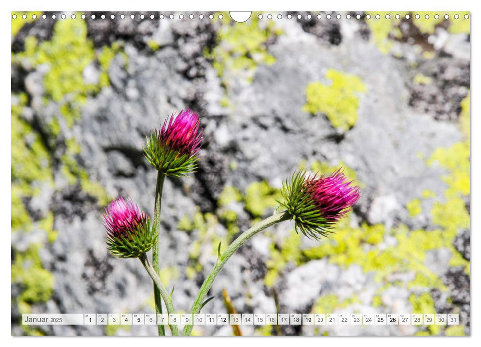 RILA - Unbeschreibliche Landschaft (CALVENDO Wandkalender 2025)