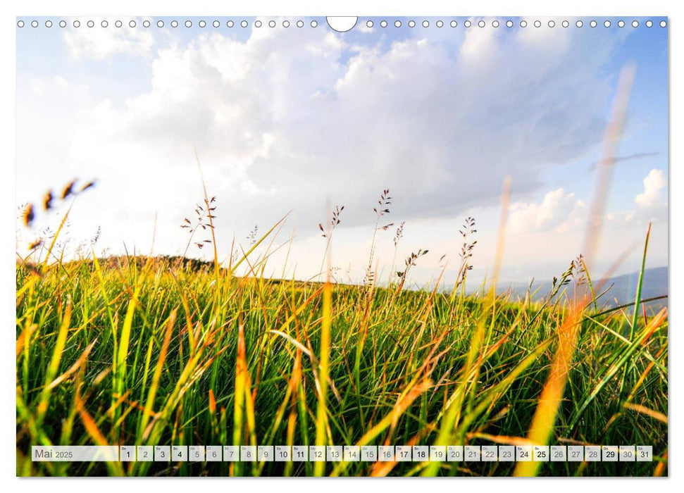 RILA - Unbeschreibliche Landschaft (CALVENDO Wandkalender 2025)