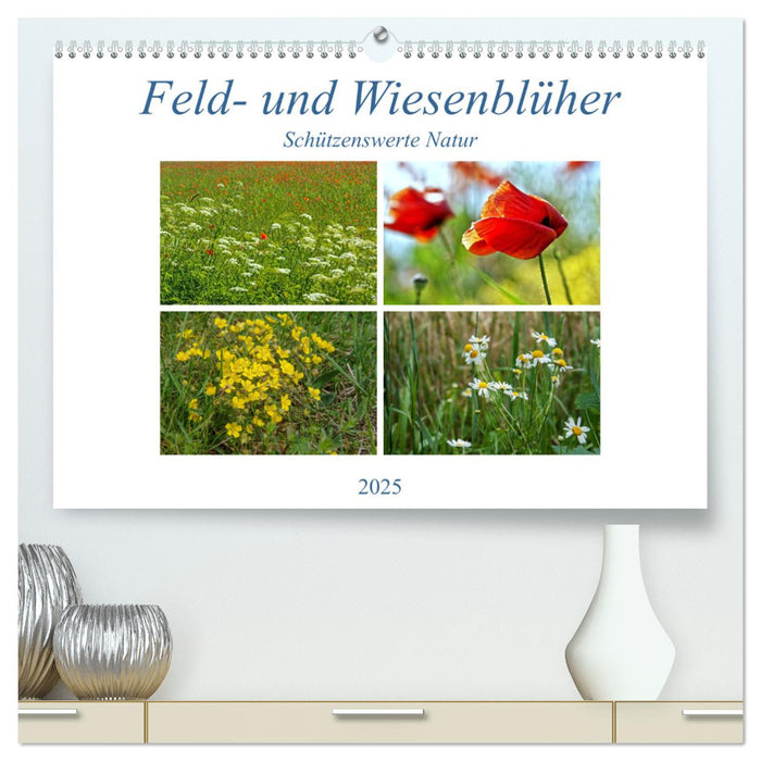 Feld- und Wiesenblüher Schützenswerte Natur (CALVENDO Premium Wandkalender 2025)