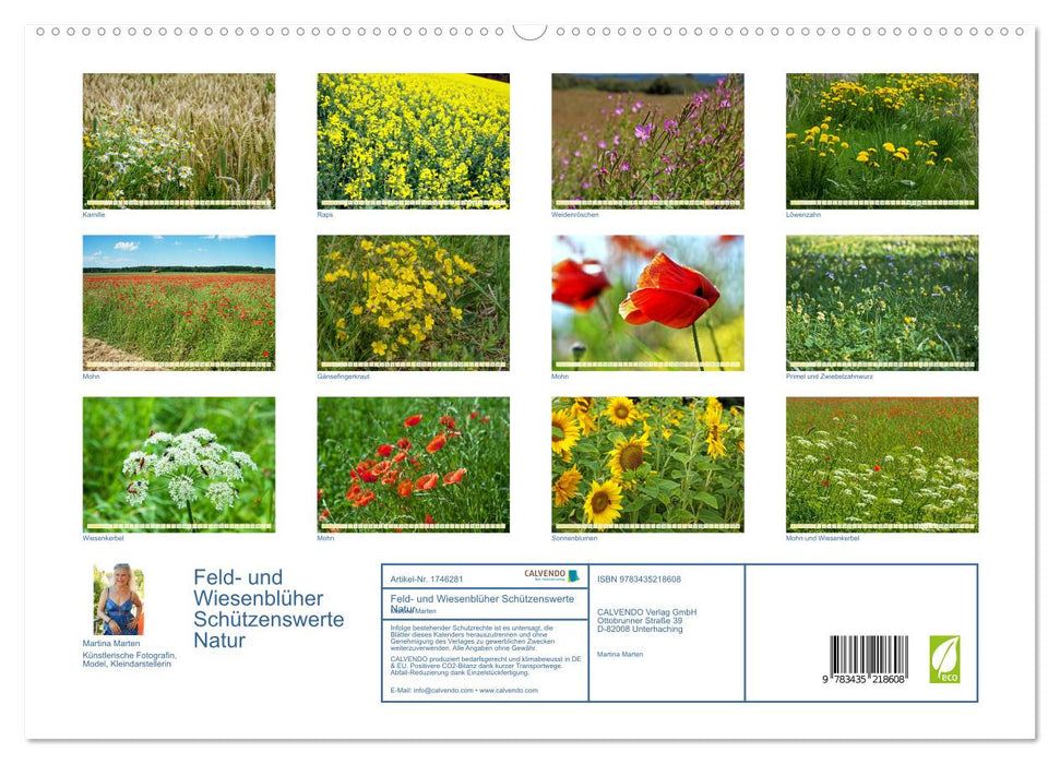 Feld- und Wiesenblüher Schützenswerte Natur (CALVENDO Premium Wandkalender 2025)