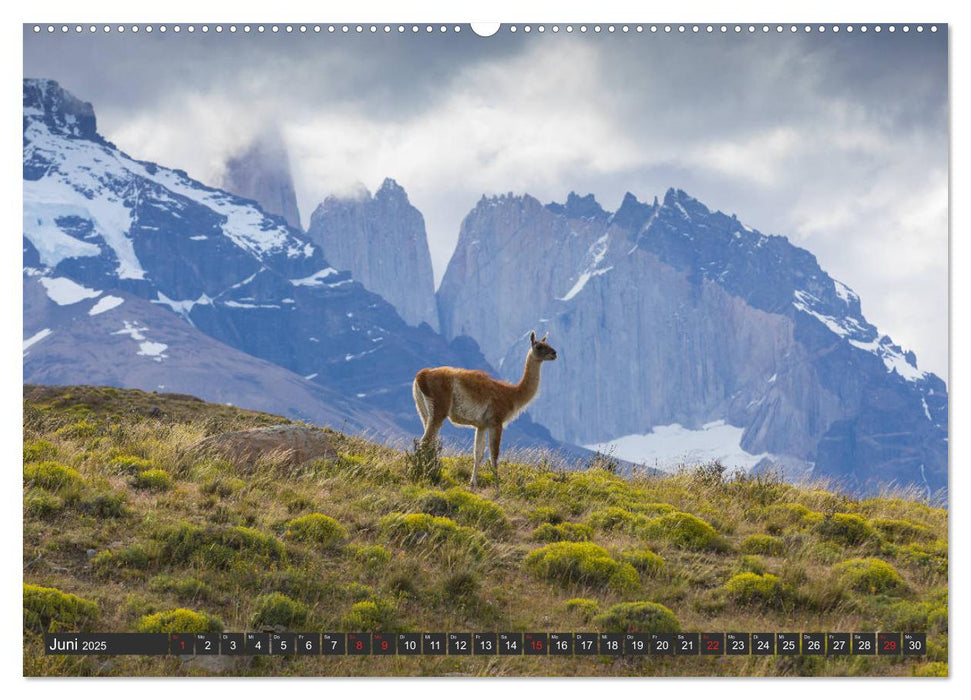 Traumwelt Chile (CALVENDO Premium Wandkalender 2025)