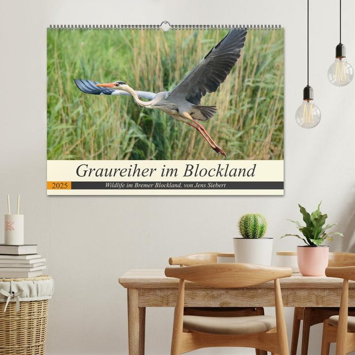 Graureiher im Blockland (CALVENDO Wandkalender 2025)