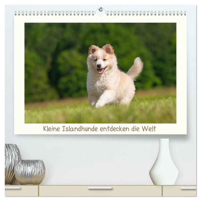 Kleine Islandhunde entdecken die Welt (CALVENDO Premium Wandkalender 2025)