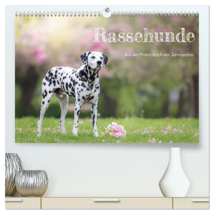 Auf vier Pfoten durch vier Jahreszeiten - Rassehunde (CALVENDO Premium Wandkalender 2025)