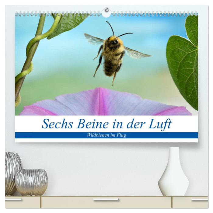 Sechs Beine in der Luft - Wildbienen im Flug (CALVENDO Premium Wandkalender 2025)