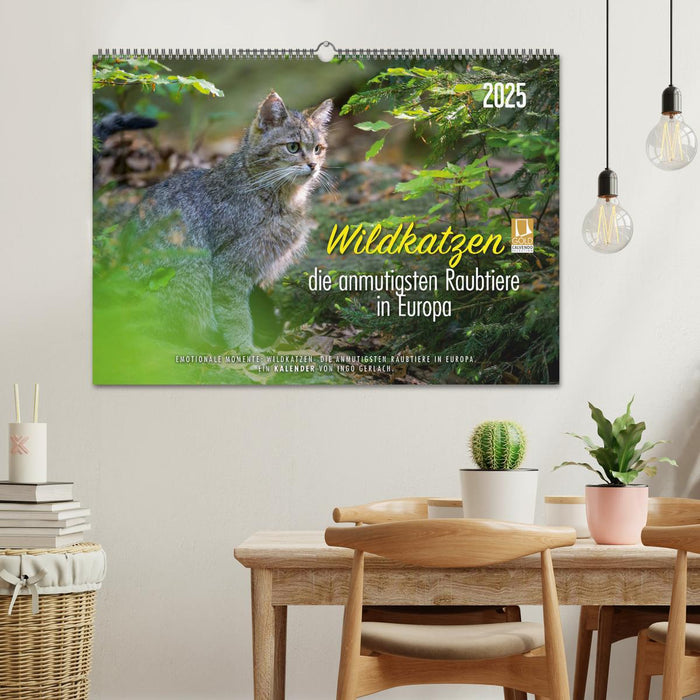 Wildkatzen - die anmutigsten Raubiere in Europa. (CALVENDO Wandkalender 2025)