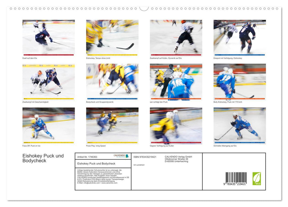 Eishokey Puck und Bodycheck (CALVENDO Premium Wandkalender 2025)