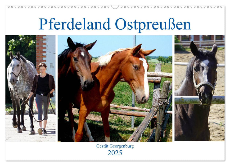 Pferdeland Ostpreußen - Gestüt Georgenburg (CALVENDO Wandkalender 2025)