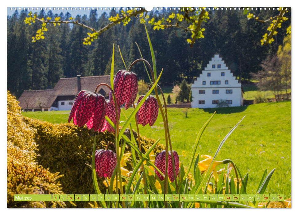 Freudenstadt-Impressionen (CALVENDO Premium Wandkalender 2025)