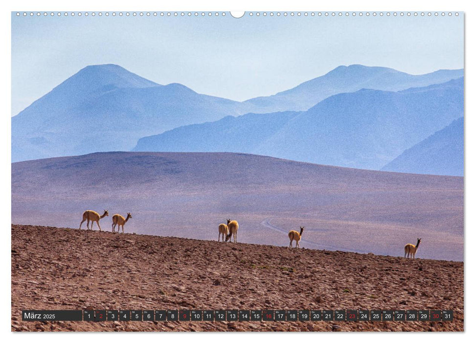 Traumwelt Chile (CALVENDO Wandkalender 2025)