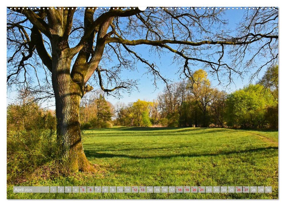 Moosburger Augenblicke (CALVENDO Wandkalender 2025)