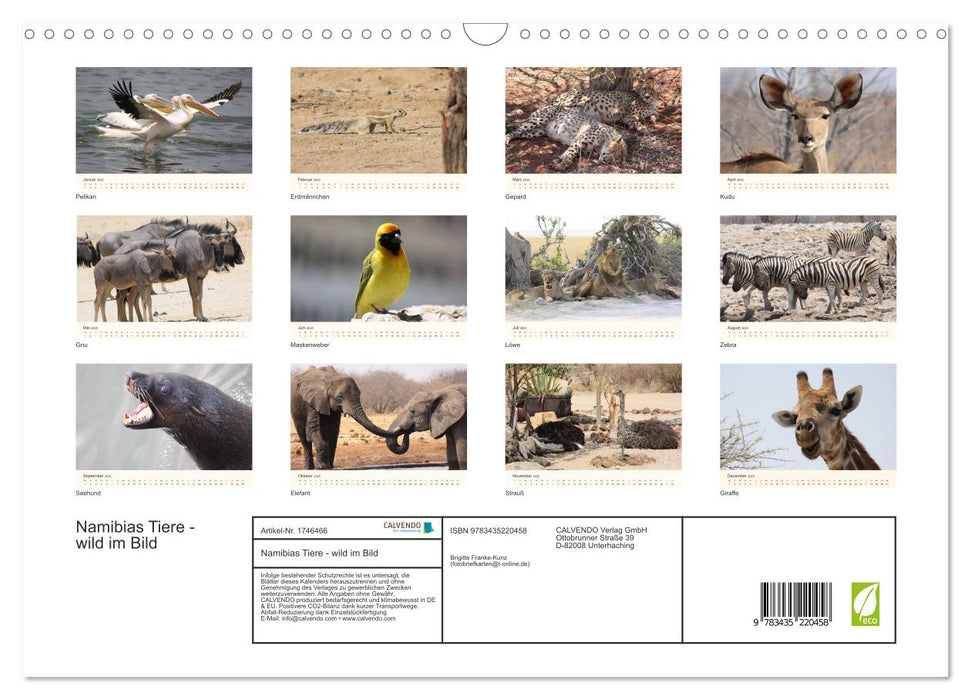 Namibias Tiere - wild im Bild (CALVENDO Wandkalender 2025)