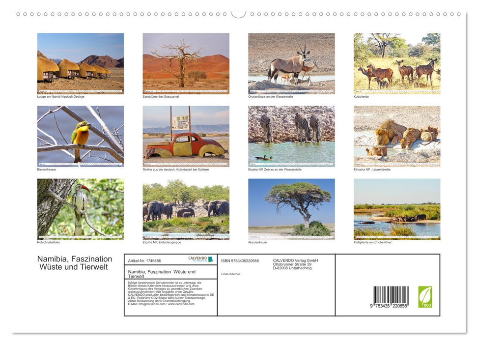 Namibia, Faszination Wüste und Tierwelt (CALVENDO Premium Wandkalender 2025)