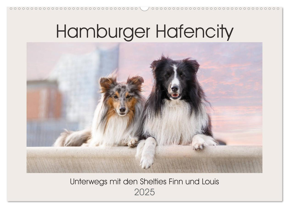 Hamburger Hafencity - Unterwegs mit den Shelties Finn und Louis (CALVENDO Wandkalender 2025)