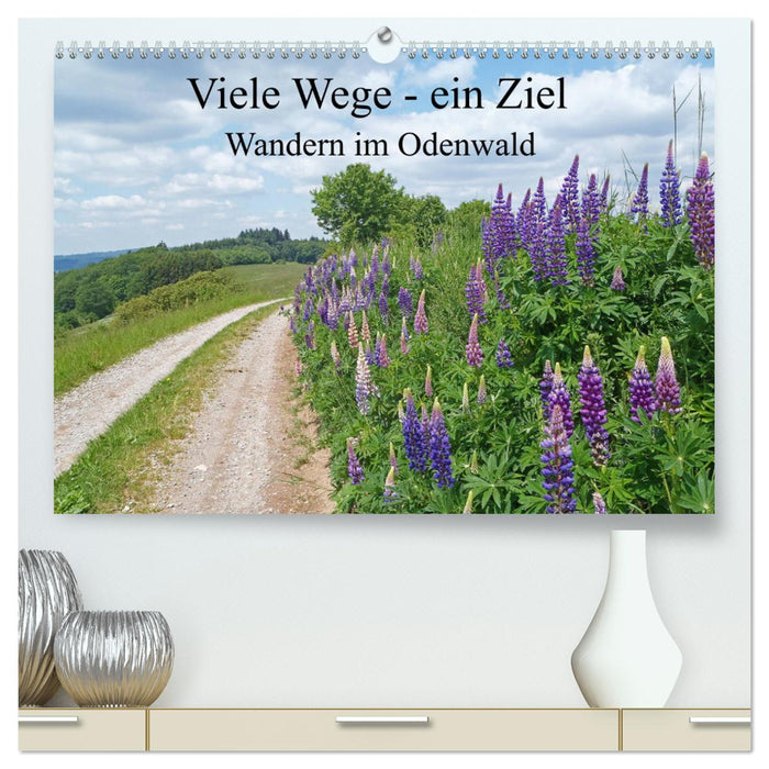 Viele Wege - ein Ziel Wandern im Odenwald (CALVENDO Premium Wandkalender 2025)