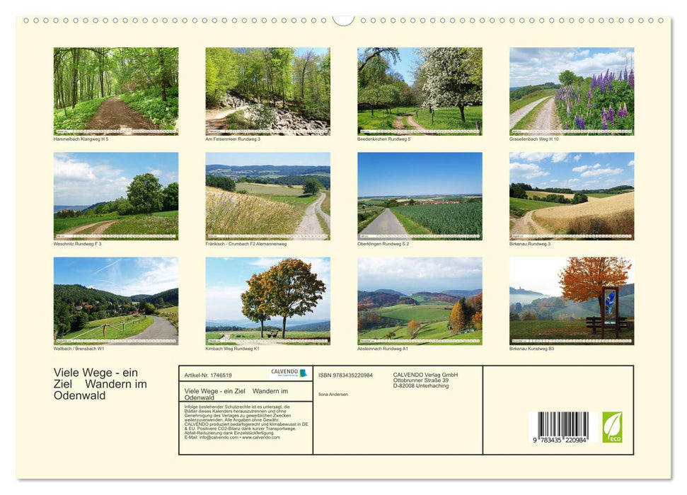 Viele Wege - ein Ziel Wandern im Odenwald (CALVENDO Premium Wandkalender 2025)