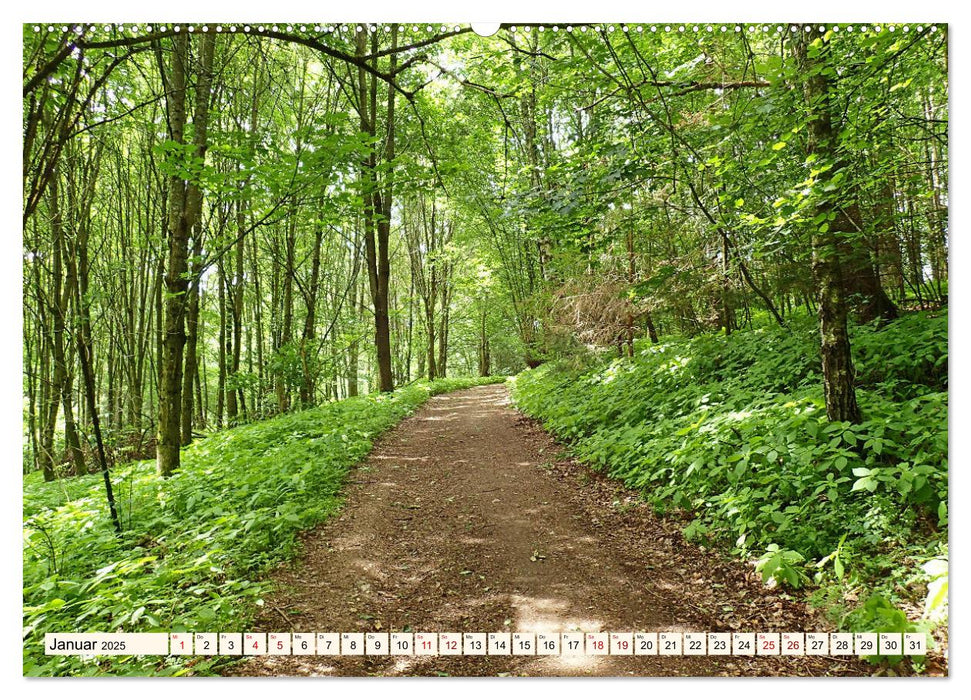 Viele Wege - ein Ziel Wandern im Odenwald (CALVENDO Premium Wandkalender 2025)