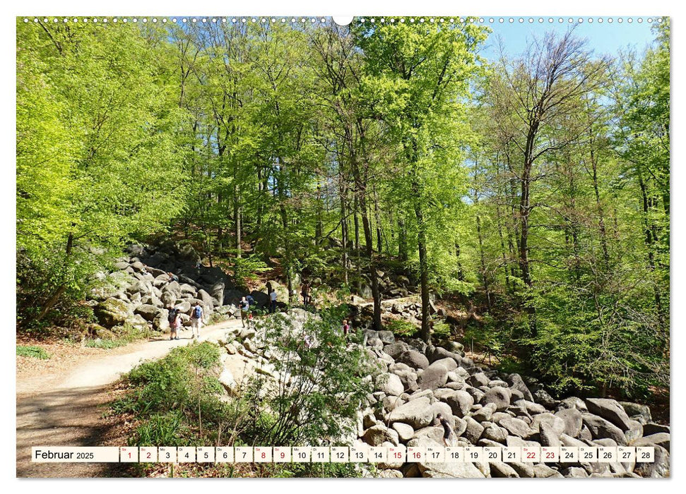 Viele Wege - ein Ziel Wandern im Odenwald (CALVENDO Premium Wandkalender 2025)