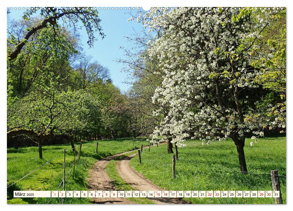 Viele Wege - ein Ziel Wandern im Odenwald (CALVENDO Premium Wandkalender 2025)