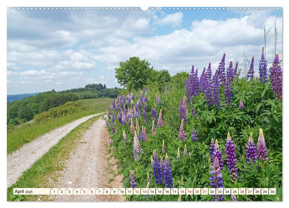 Viele Wege - ein Ziel Wandern im Odenwald (CALVENDO Premium Wandkalender 2025)