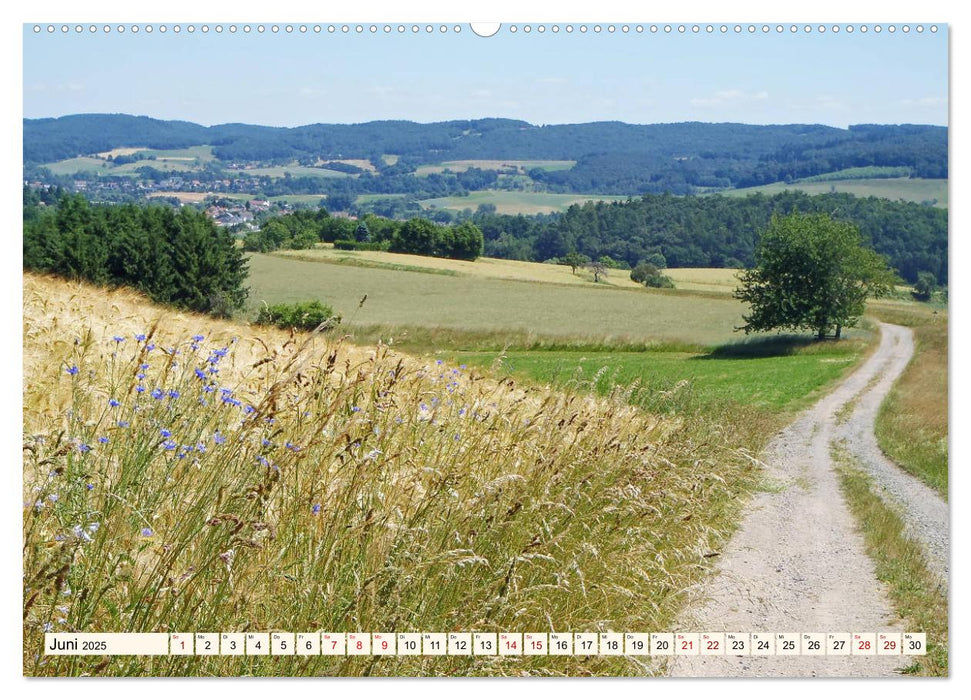 Viele Wege - ein Ziel Wandern im Odenwald (CALVENDO Premium Wandkalender 2025)