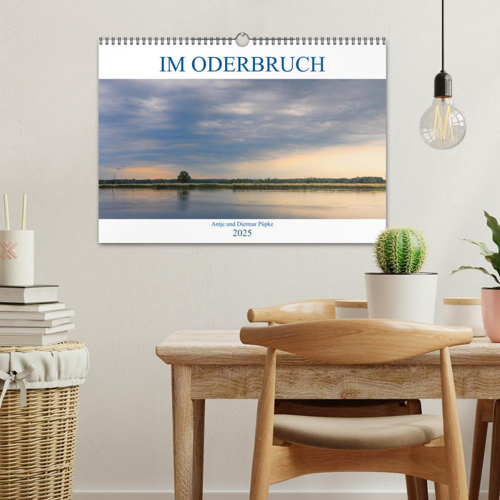 Im Oderbruch (CALVENDO Wandkalender 2025)