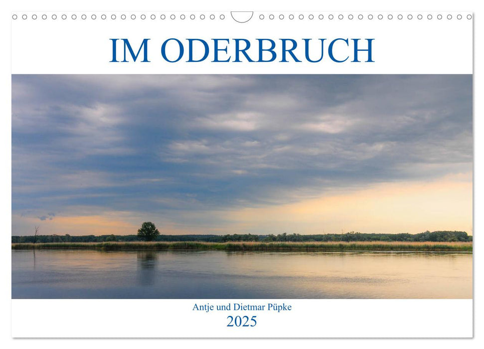 Im Oderbruch (CALVENDO Wandkalender 2025)