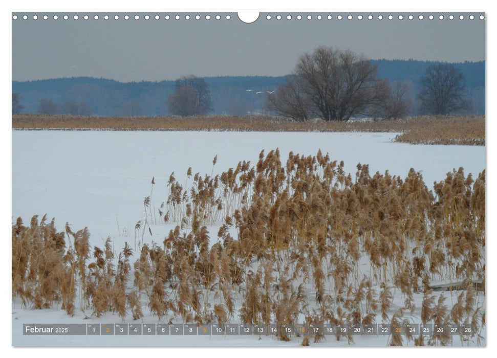 Im Oderbruch (CALVENDO Wandkalender 2025)