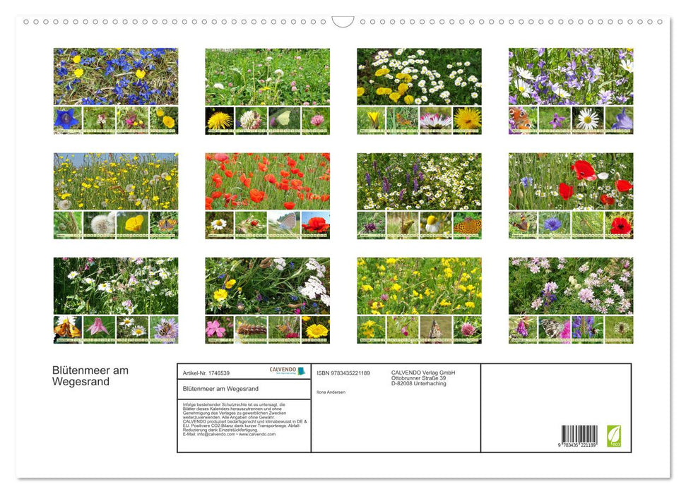 Blütenmeer am Wegesrand (CALVENDO Wandkalender 2025)