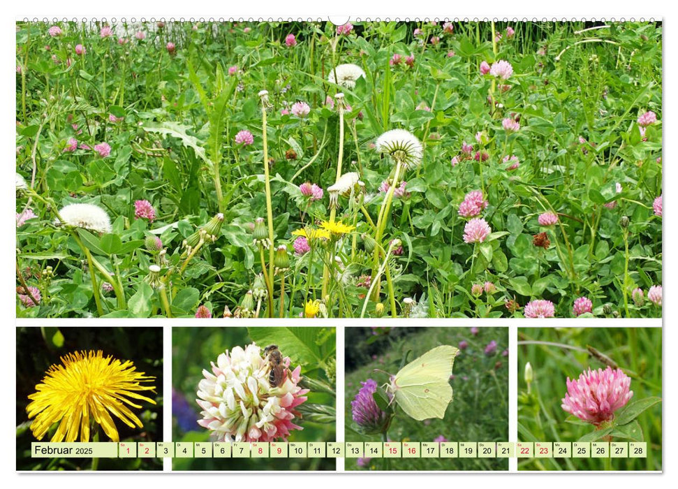 Blütenmeer am Wegesrand (CALVENDO Wandkalender 2025)