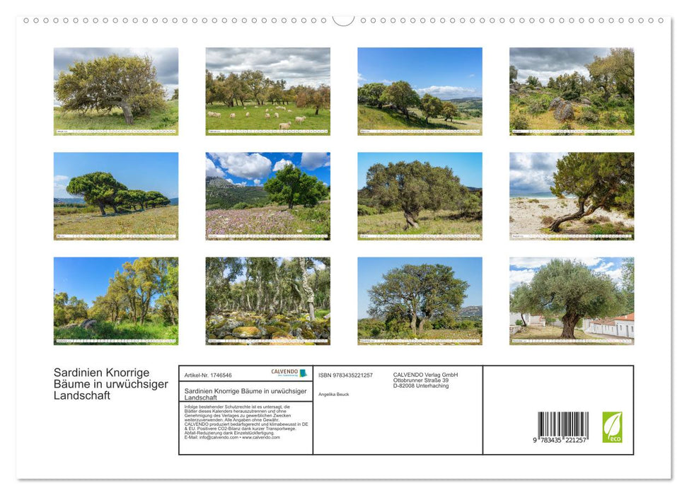 Sardinien Knorrige Bäume in urwüchsiger Landschaft (CALVENDO Premium Wandkalender 2025)