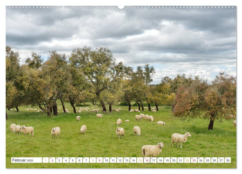 Sardinien Knorrige Bäume in urwüchsiger Landschaft (CALVENDO Premium Wandkalender 2025)