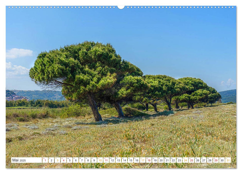 Sardinien Knorrige Bäume in urwüchsiger Landschaft (CALVENDO Premium Wandkalender 2025)