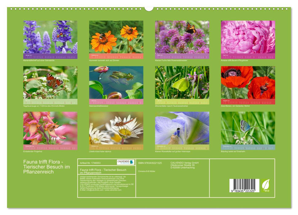 Fauna trifft Flora - Tierischer Besuch im Pflanzenreich (CALVENDO Premium Wandkalender 2025)