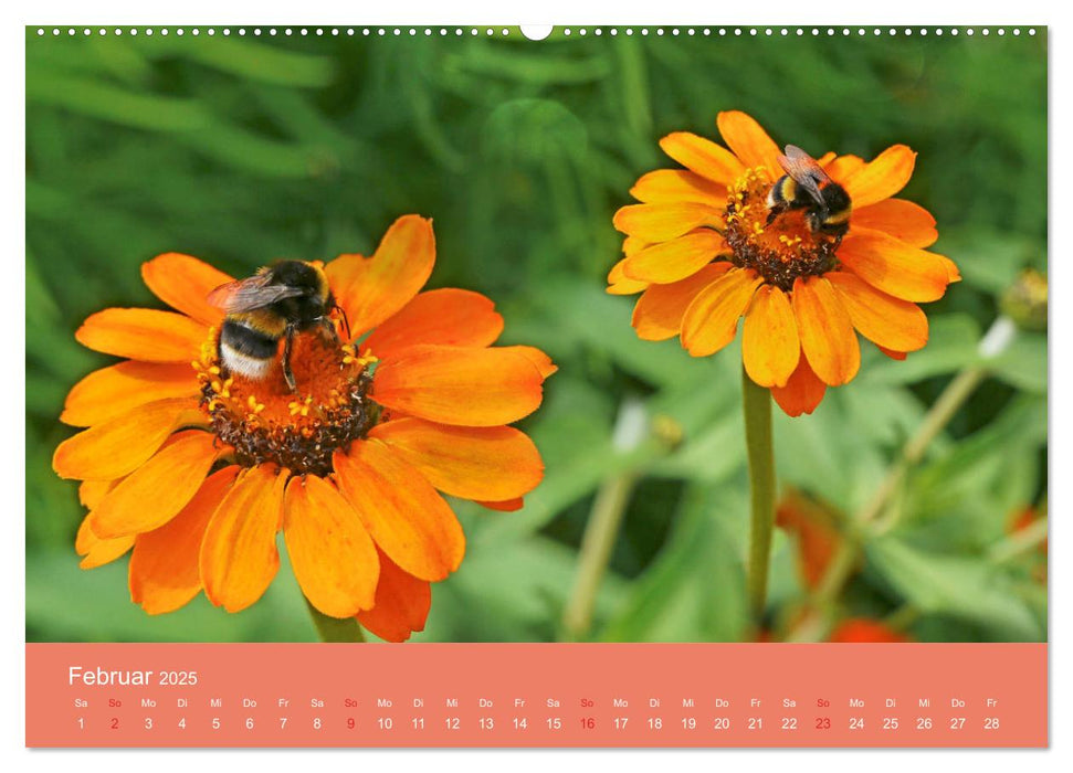 Fauna trifft Flora - Tierischer Besuch im Pflanzenreich (CALVENDO Premium Wandkalender 2025)