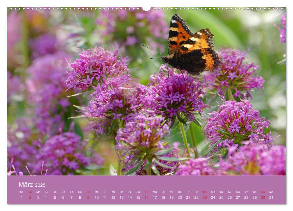 Fauna trifft Flora - Tierischer Besuch im Pflanzenreich (CALVENDO Premium Wandkalender 2025)