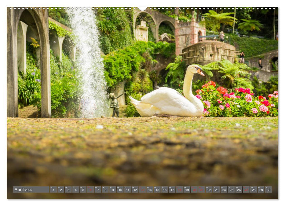 Madeira - Insel der Blumen 2025 (CALVENDO Premium Wandkalender 2025)