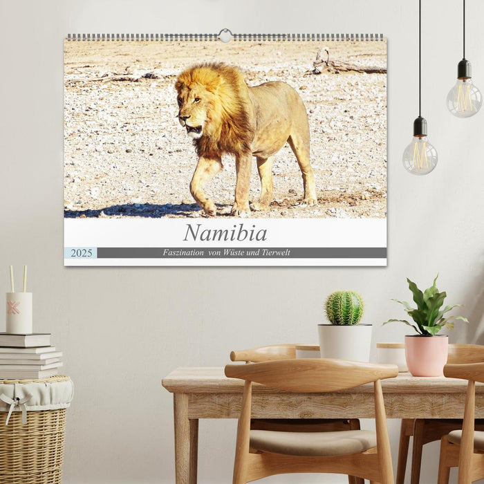 Namibia, Faszination Wüste und Tierwelt (CALVENDO Wandkalender 2025)