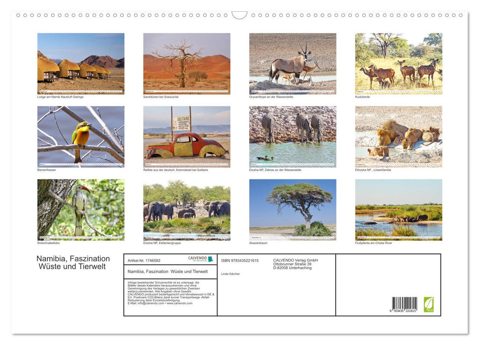 Namibia, Faszination Wüste und Tierwelt (CALVENDO Wandkalender 2025)