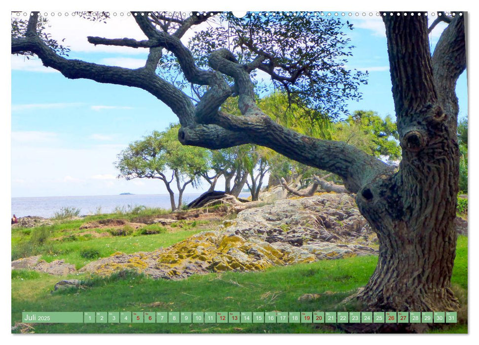 Uruguay - Bienvenido al Río de la Plata (CALVENDO Premium Wandkalender 2025)