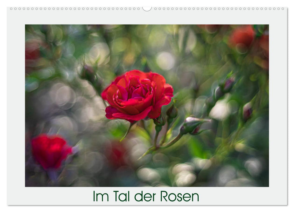 Im Tal der Rosen (CALVENDO Wandkalender 2025)