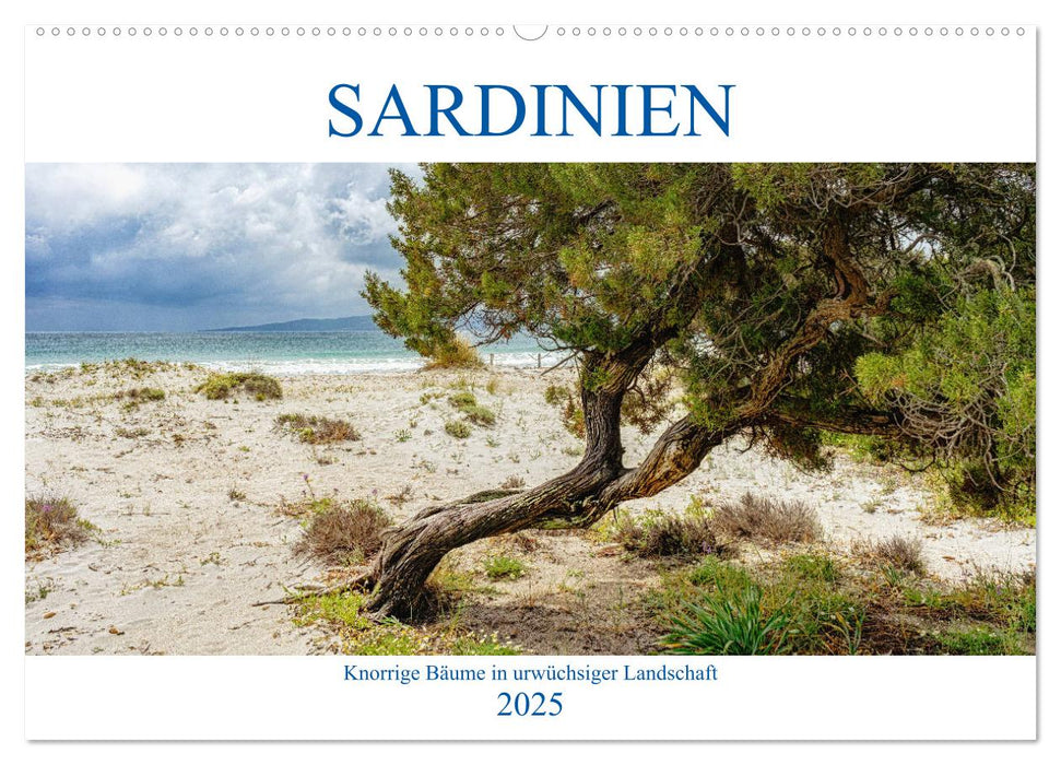 Sardinien Knorrige Bäume in urwüchsiger Landschaft (CALVENDO Wandkalender 2025)