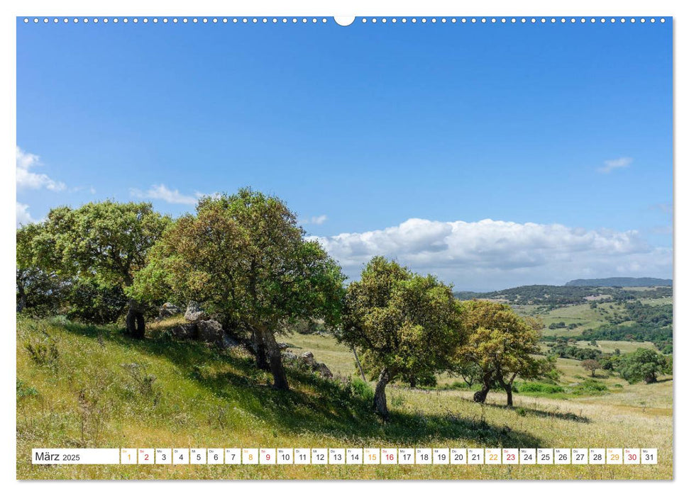 Sardinien Knorrige Bäume in urwüchsiger Landschaft (CALVENDO Wandkalender 2025)