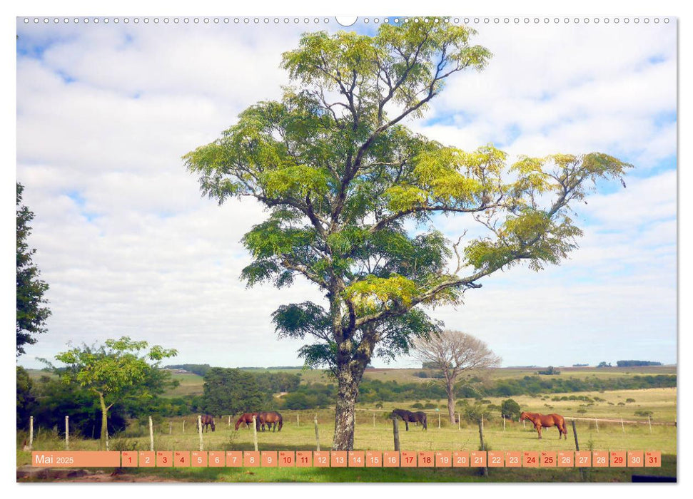 Uruguay - Bienvenido al Río de la Plata (CALVENDO Wandkalender 2025)