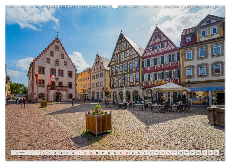 Bad Mergentheim Impressionen (CALVENDO Premium Wandkalender 2025)