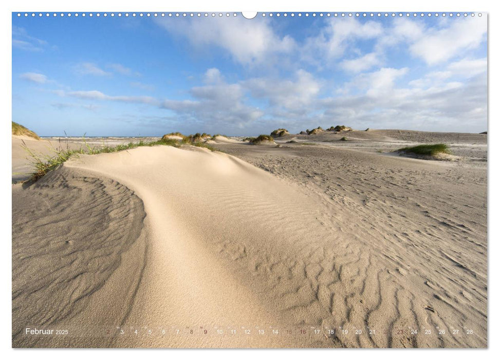 Römö - Strände und Dünen (CALVENDO Premium Wandkalender 2025)