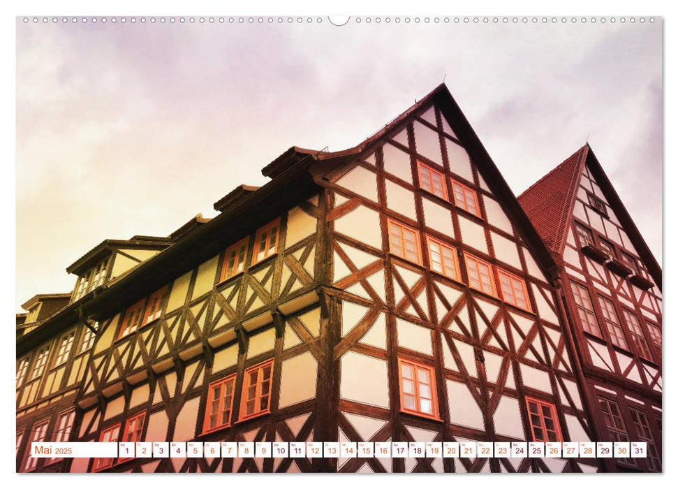 ERFURT obercool (CALVENDO Premium Wandkalender 2025)