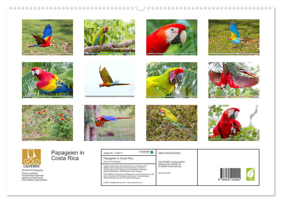 Papageien in Costa Rica (CALVENDO Premium Wandkalender 2025)