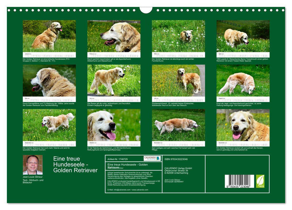 Eine treue Hundeseele - Golden Retriever (CALVENDO Wandkalender 2025)